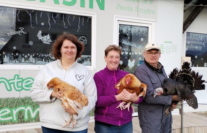 Pavo, capones, pollos… En Calvados preparan 3.000 aves de alta gama para Navidad