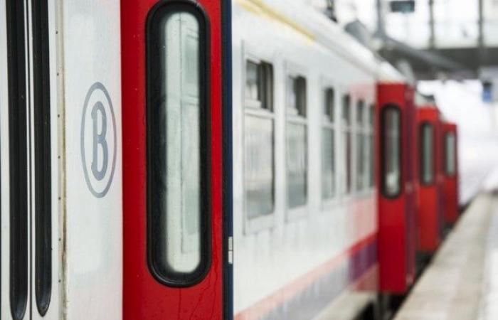 Entran en vigor nuevos horarios de trenes y la oferta se amplía casi un 2 por ciento (Amberes)