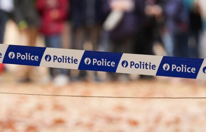 Gran operación policial en el distrito norte de Bruselas considerada “particularmente problemática”: 18 personas arrestadas