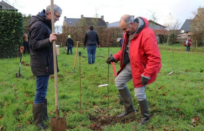 Gracias a su huerto compartido, esta asociación de Côtes-d’Armor quiere concienciar sobre