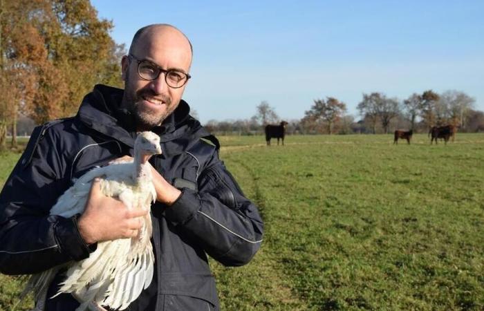 Este año, compre su pavo de Navidad directamente de este productor del Loira Atlántico