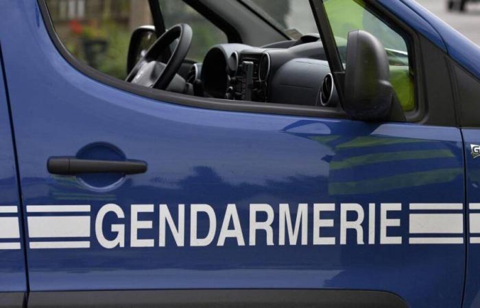 Gendarmería de La Tranche-sur-Mer Vendée. Desmantelamiento del narcotráfico…. (Ed. Les Sables-d’Olonne)