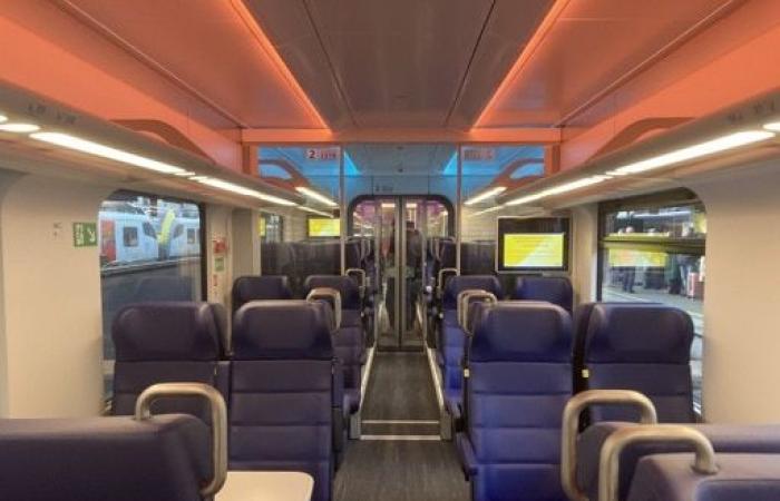 El tren “EuroCity Direct” conecta ahora Bruselas-Sur y Ámsterdam en dos horas