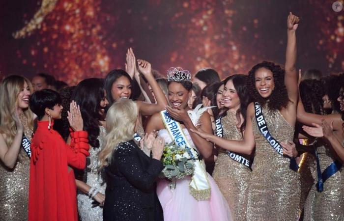 Una ex Miss Francia, enojada por los resultados, ataca a ciertos espectadores