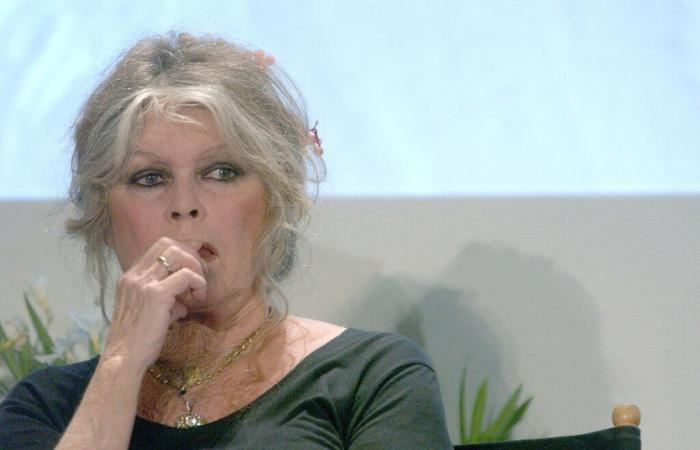 Brigitte Bardot en dificultades en St-Tropez, no se anda con rodeos y denuncia la situación