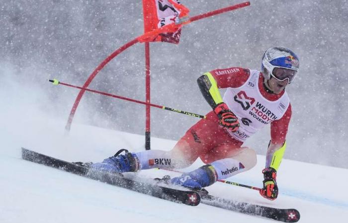 El campeón suizo logra la victoria número 24 de su carrera | La Gaceta Demócrata de Arkansas