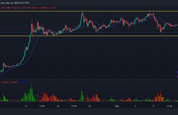 ¡El precio de DOGE podría caer a este nivel!