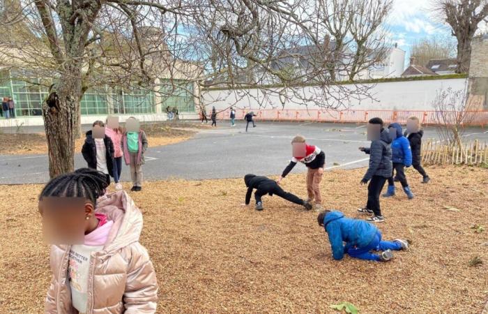 En esta escuela de Sena y Marne, un nuevo tipo de parque infantil para los niños