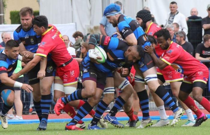 Rugby – Sarlat disfruta de un gran éxito antes de las vacaciones en el Federal 1. Belvès también gana.