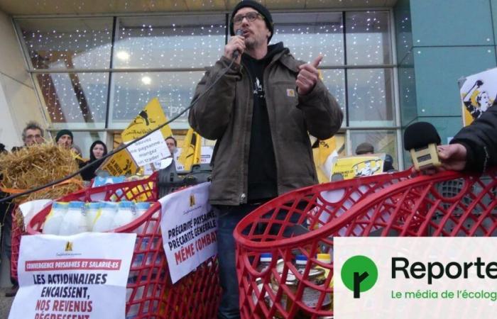 Contra la agroindustria, una operación de “carritos de compra gratis” en un hipermercado de Auchan