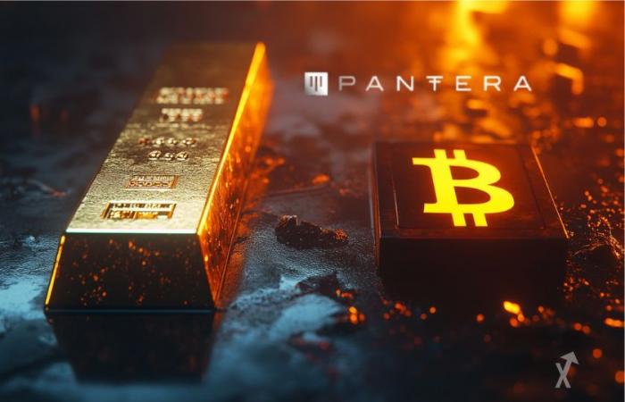 El fundador de Pantera dice que Bitcoin es mejor que el oro