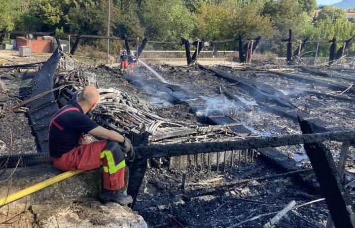 Los tres jóvenes pirómanos del Espace Auzon, en Carpentras, “pagarán con toda su vida”