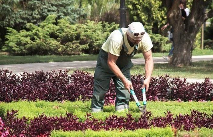 Servicios, un sector vital con muchos desafíos (Hicham Saadli)