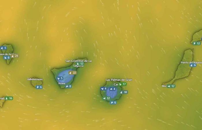 La AEMET anuncia para Canarias la posibilidad de calima severa y una nueva DANA | Canariasenred