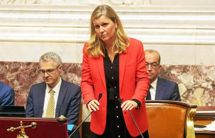 Ley especial: modificaciones a la escala del impuesto sobre la renta declaradas inadmisibles por Braun-Pivet