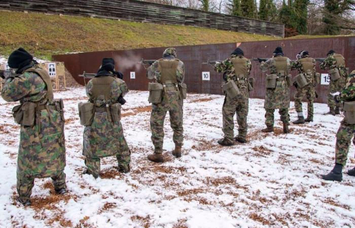 Seguridad militar: la imprudencia de los soldados suizos