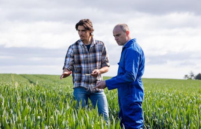 GEBTP23 busca un electricista M/F y un puesto en la Cámara de Agricultura de Guéret