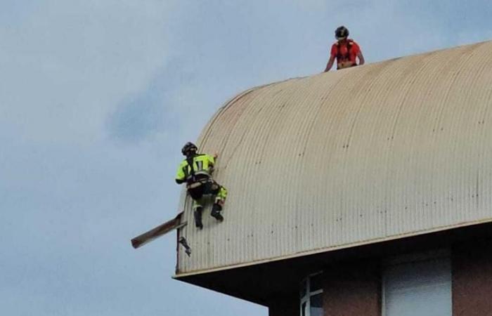 INCIDENCIAS TEMPORAL TENERIFE | Bomberos de Tenerife recibe más de 450 llamadas e interviene en 84 incidencias por el efecto del viento