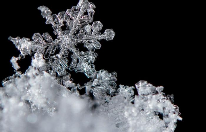 El viento cambia la composición de los copos de nieve.