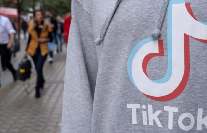 TikTok supera a Shein y Sephora entre los compradores online de EE. UU., según un informe