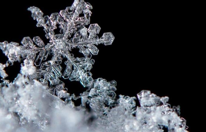 Ciencia del clima: el viento cambia la composición de los copos de nieve