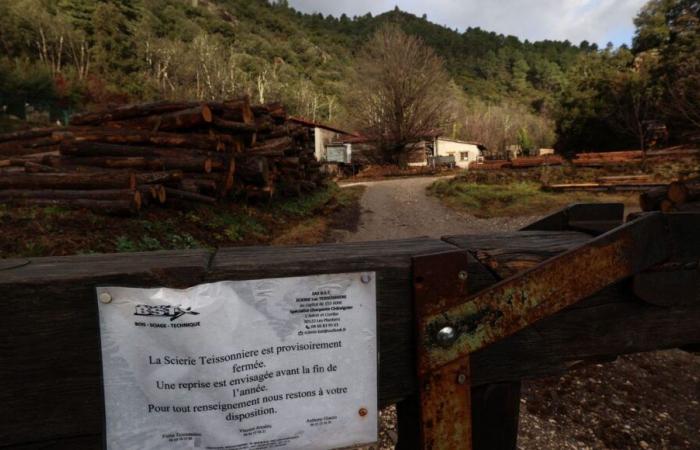 Valentin Marcone, el loco de las Cévennes