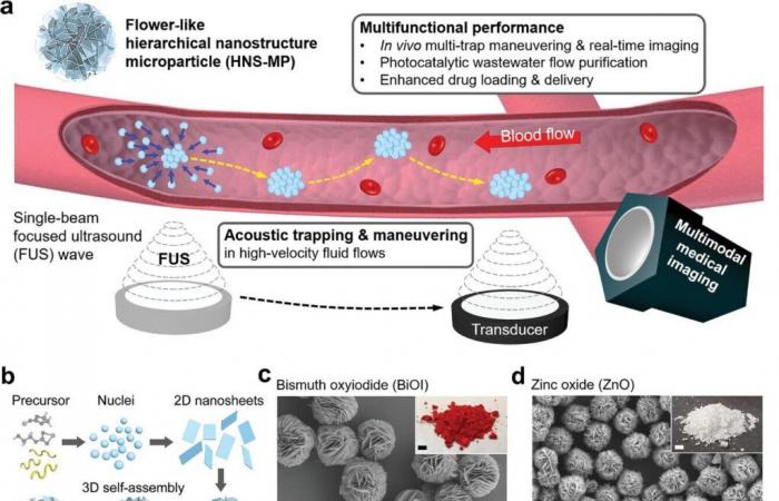 Estas “flores” microscópicas administran medicamentos contra el cáncer con una precisión incomparable ????