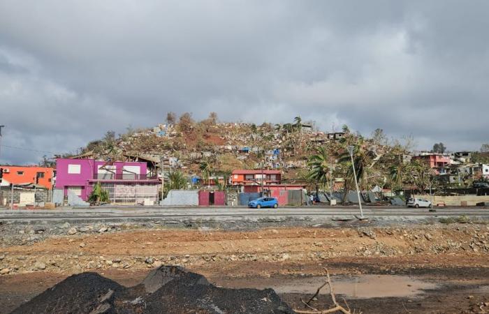 ¿Por qué será difícil establecer una cifra de muertos?