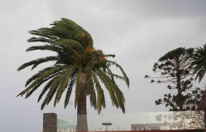 El Gobierno desactiva la alerta máxima en Canarias, pero mantiene prealertas en dos Islas