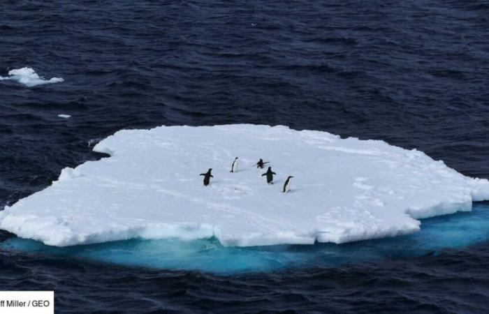 Recrear hielo en el Ártico: el ambicioso proyecto que divide a científicos y ambientalistas