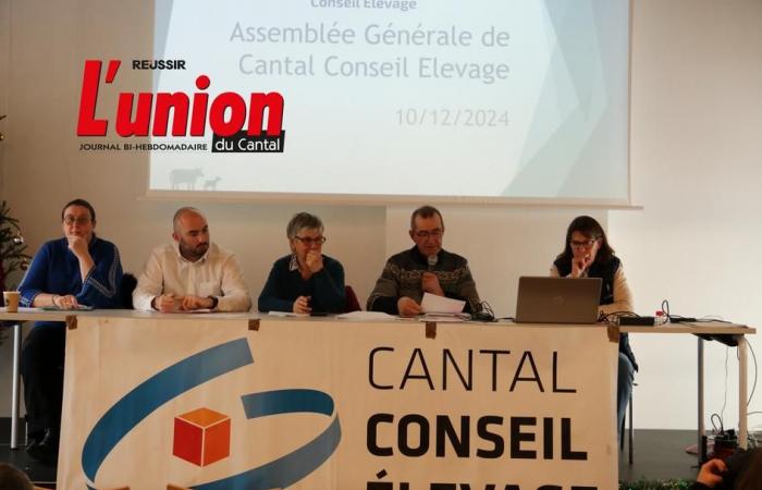 Cantal Conseil Élevage: satisfacer las necesidades de rendimiento | Agricultura Macizo central