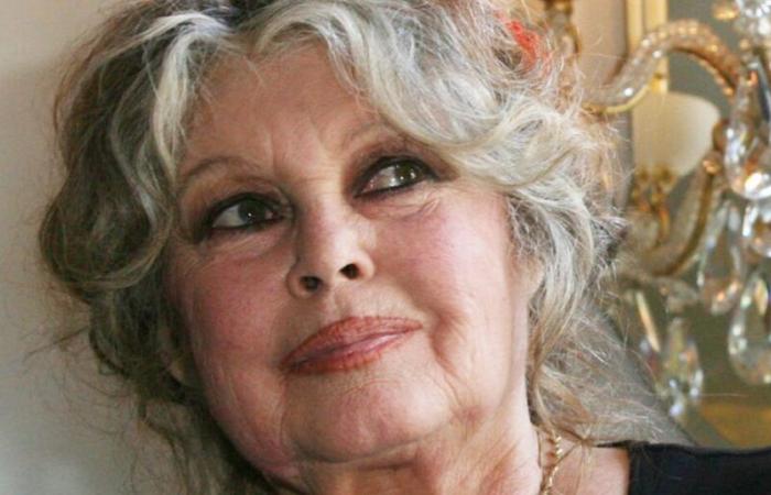 Brigitte Bardot furiosa por un problema en su barrio