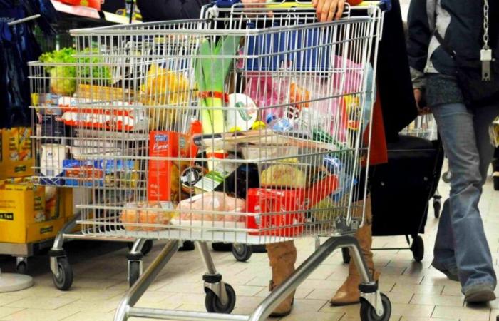 Alimentos 5 estrellas durante las fiestas marcados por engaños, estafas e ingredientes cancerígenos según Foodwatch