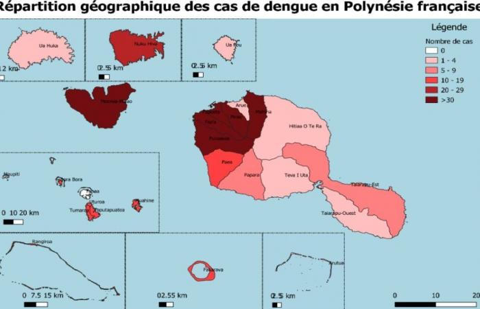 La epidemia de dengue avanza en fenua • TNTV Tahiti Nui Télévision