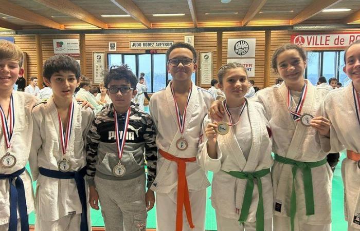 Una cosecha de medallas para los jóvenes judocas del SOM en el campeonato del departamento de Aveyron