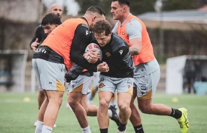 Liga de Rugby: Los Dragones Catalanes no pierden el tiempo