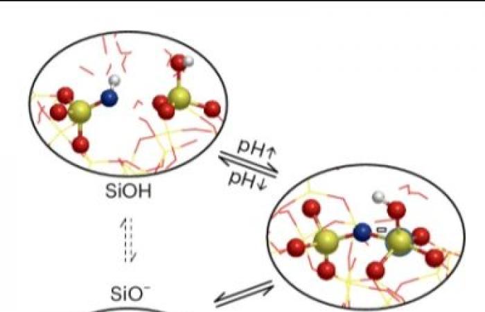 Una nueva sonda para comprender las interacciones agua-SiO₂