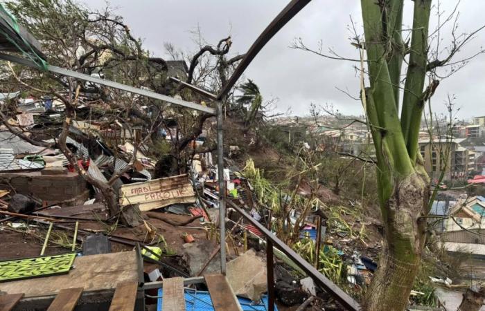 Ciclón Chido en Mayotte – Departamento Norte: “Veremos lo útiles que podemos ser”