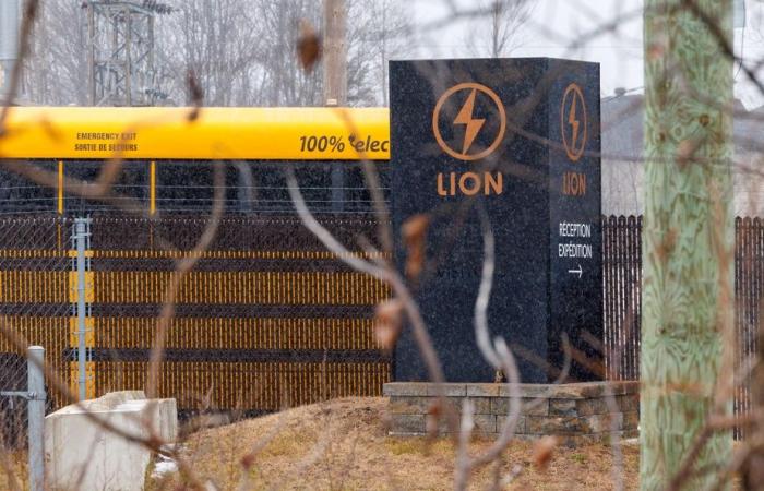 León eléctrico al borde del abismo | No hay socorrista a la una o medianoche.