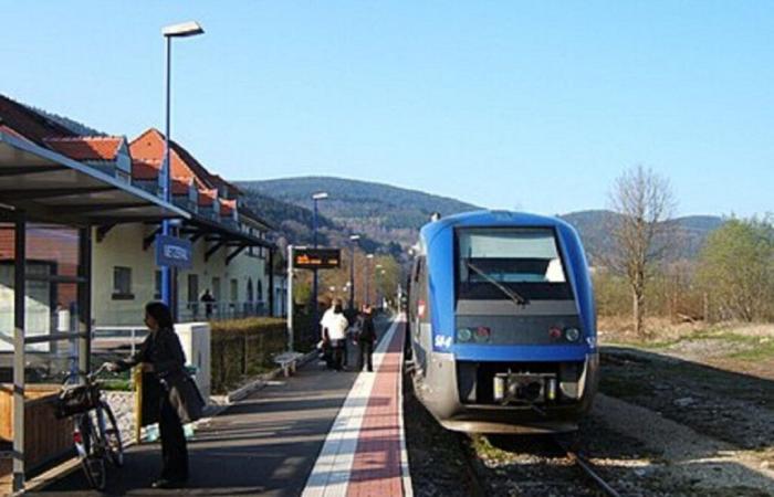 SNCF aumenta el número de viajes diarios en esta línea del Alto Rin