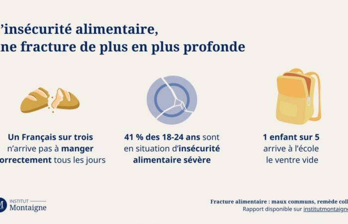 La brecha alimentaria según el informe del Instituto Montaigne