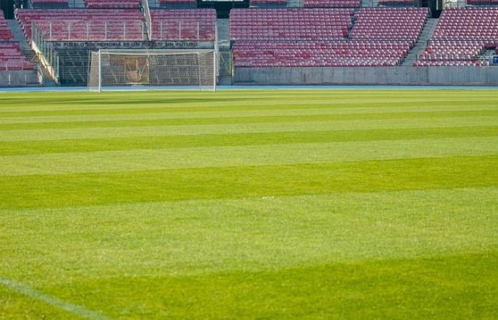 ¡Ademola Lookman se coronó con el Balón de Oro Africano 2024! – Africtelegraph – Todas las noticias africanas