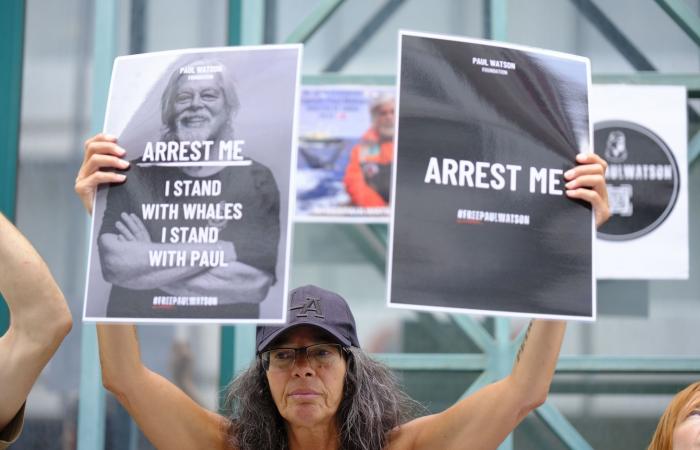 ¿Por qué Japón quiere extraditar a Paul Watson? Activista contra la caza de ballenas liberado de prisión después de que Dinamarca rechazara la extradición