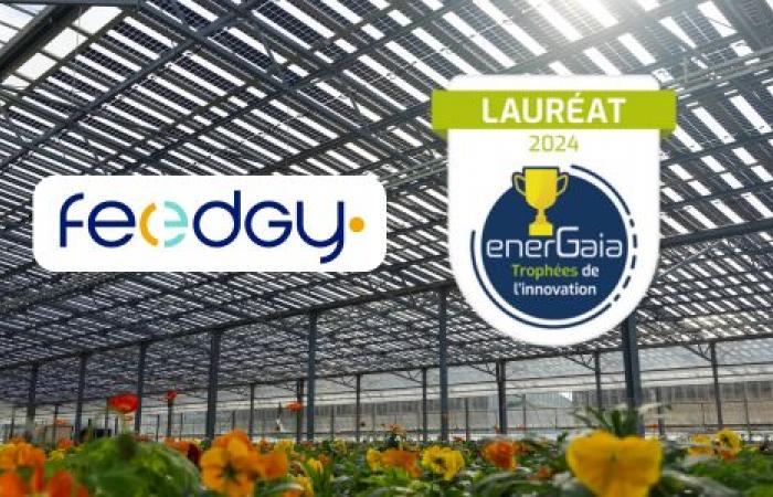 Feedgy premiado por sus innovaciones: Ganador del premio de Implementabilidad en los Trofeos de Innovación del Foro EnerGaïa