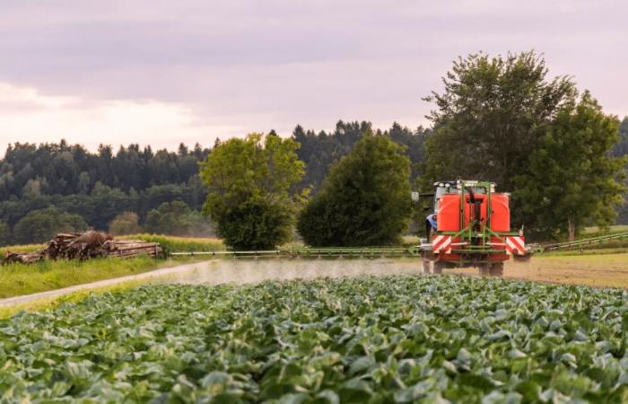 Alrededor de cuarenta pesticidas prohibidos se encuentran en el aire