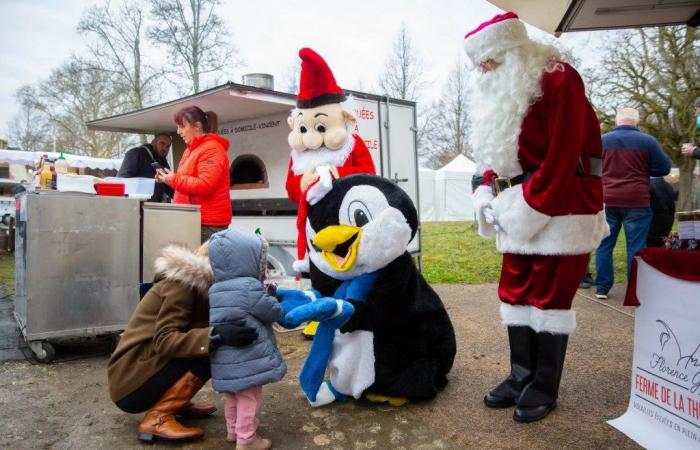 Información del recorrido | Vacaciones de Navidad: nuestras ideas para salidas familiares en Touraine