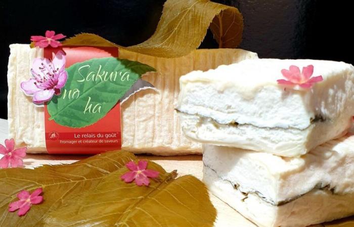 Nace en Eure el “mejor queso de cabra” con sabor japonés