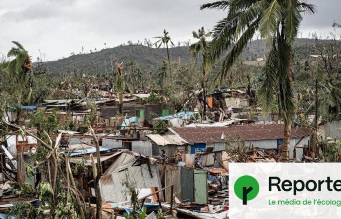 En Mayotte, “nadie fue a los barrios marginales para avisar a la población”