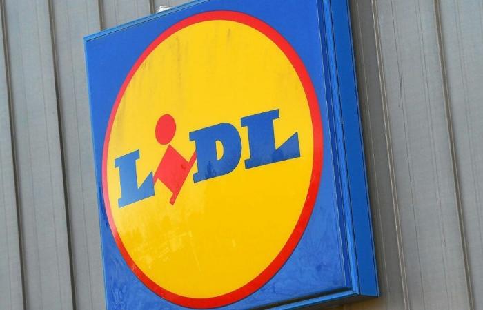 Casi 2.000 m² de superficie de venta: el Lidl más grande de Bretaña abrirá pronto sus puertas en Rennes