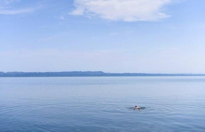 Una isla debería flotar en el lago Neuchâtel